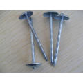 Umbrella Head Roofing Nails